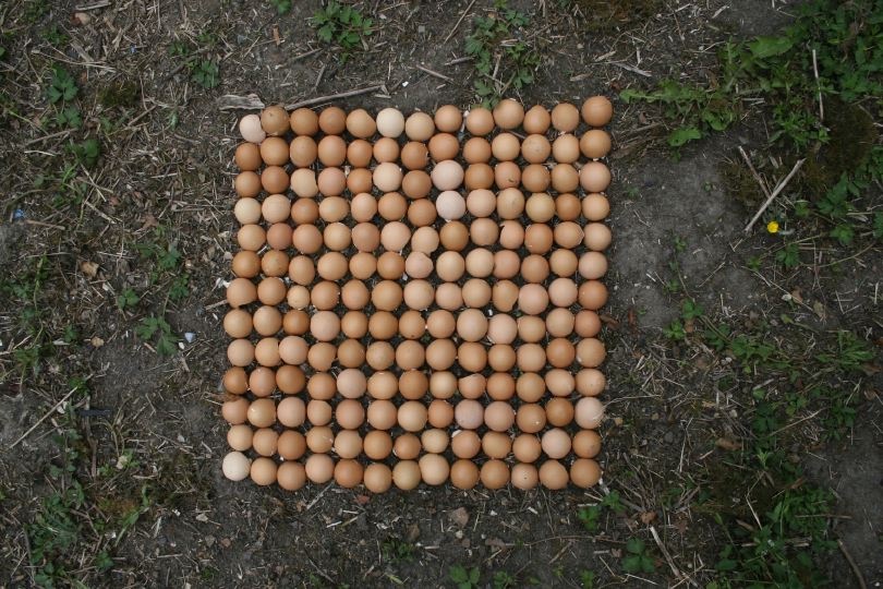 carrés du quotidien 2