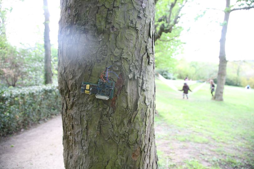 arbre pucé 1